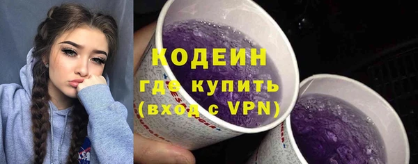 дмт Дмитриев