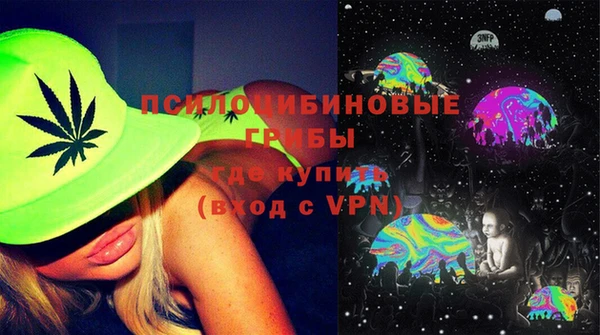 дмт Дмитриев