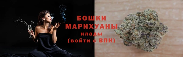дмт Дмитриев