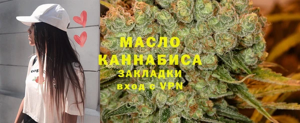 дмт Дмитриев