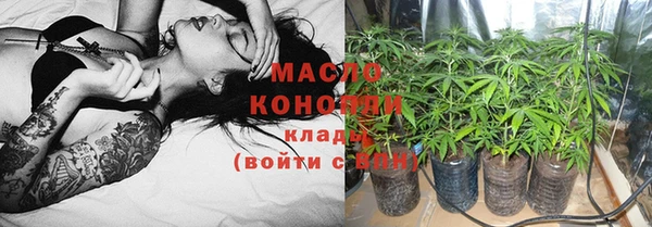 дмт Дмитриев