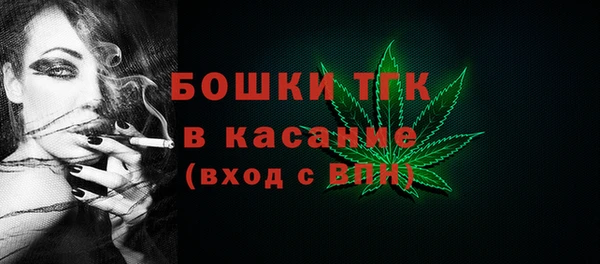 дмт Дмитриев