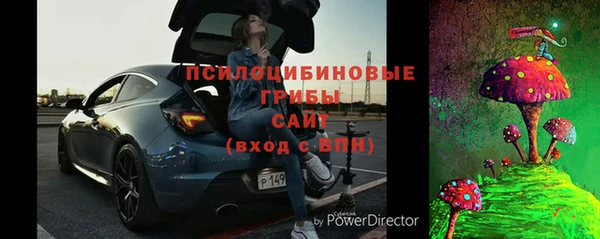 дмт Дмитриев
