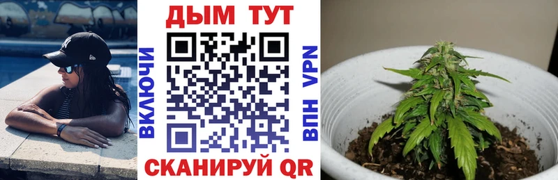 Купить  Назарово  Шишки марихуана сатива 